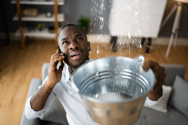 Best Ceiling water damage repair  in Loogootee, IN
