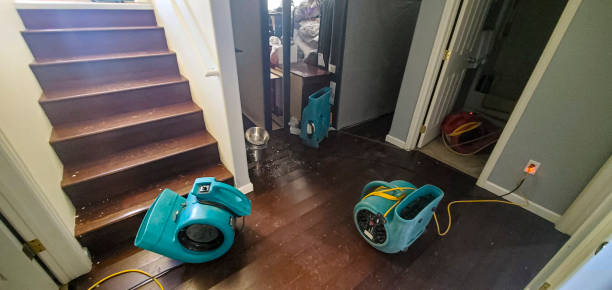 Best Water damage repair service  in Loogootee, IN