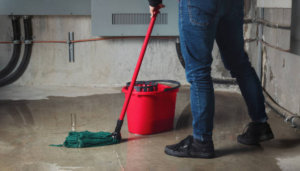 Local water damage restoration in IN