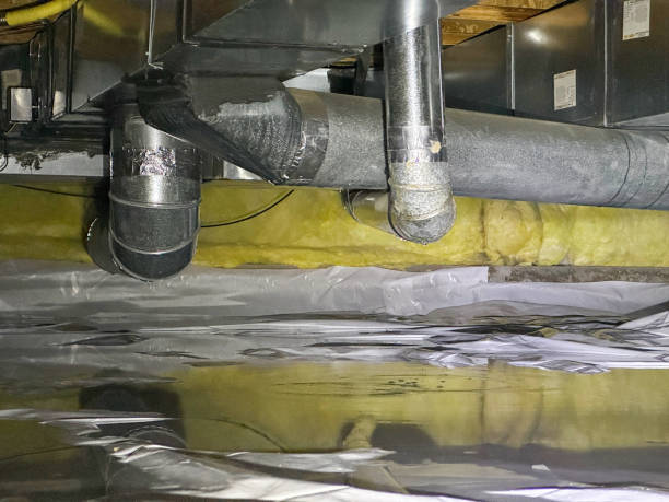 Best Basement water damage restoration  in Loogootee, IN